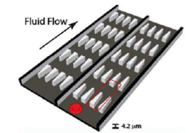 Microfluidic Blood Sorting For Improved Blood Quality Over Prolonged ...